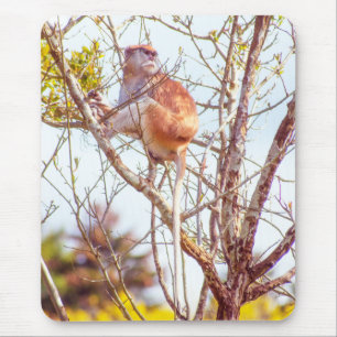 Patas is Up a Tree Mouse Pad