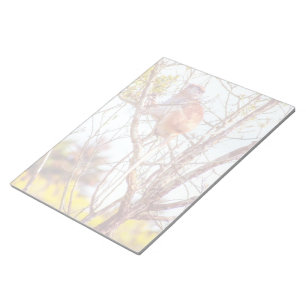 Patas is Up a Tree Notepad