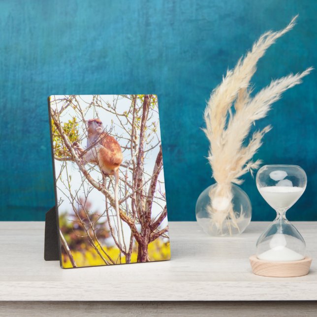 Patas is Up a Tree Plaque (Side)