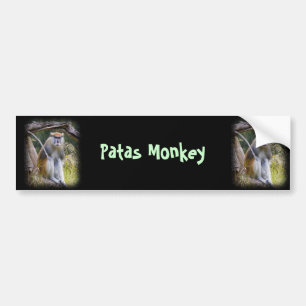 Patas Monkey Bumper Sticker