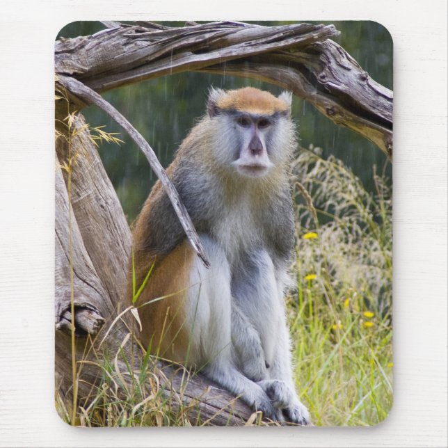 Patas Monkey Mouse Pad (Front)