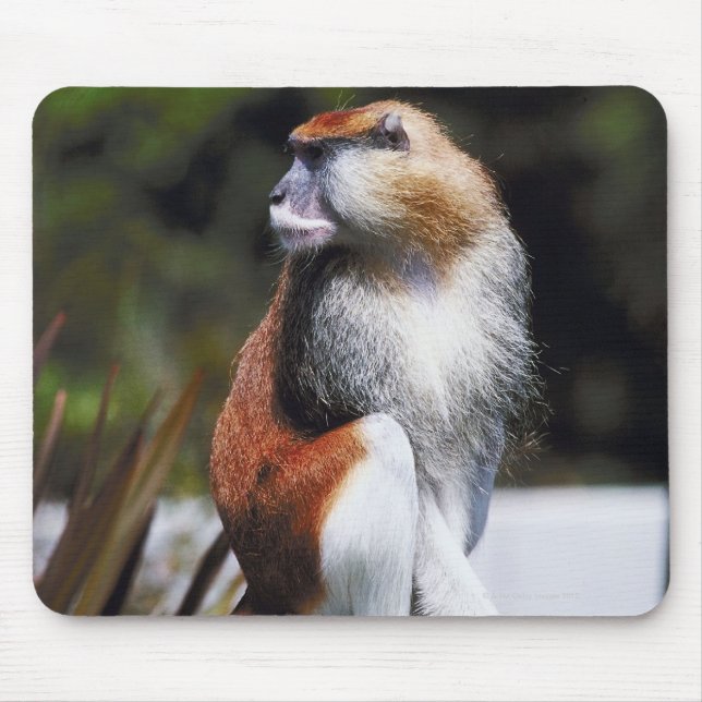 Patas monkey mouse pad (Front)