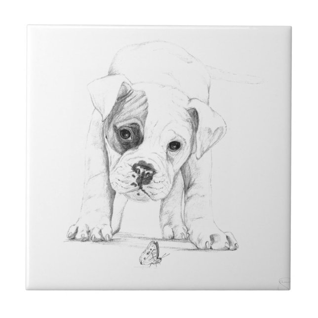 Patch A Boxer Puppy Drawing Art Tile (Front)