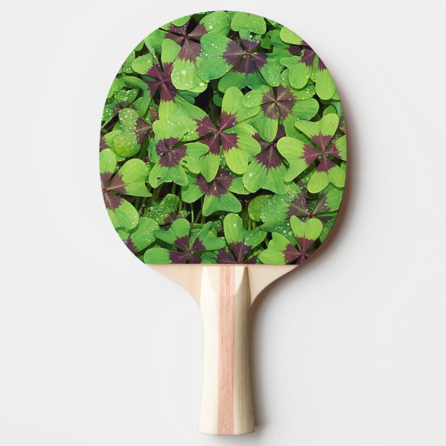 Patch of Four Leaf Clover (Sorrel) after Rain Ping Pong Paddle (Front)