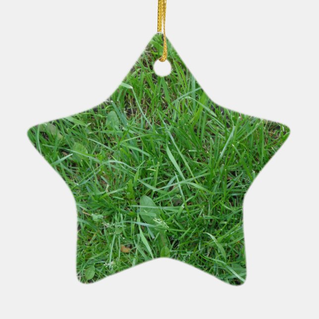 Patch of Grass Ceramic Tree Decoration (Back)