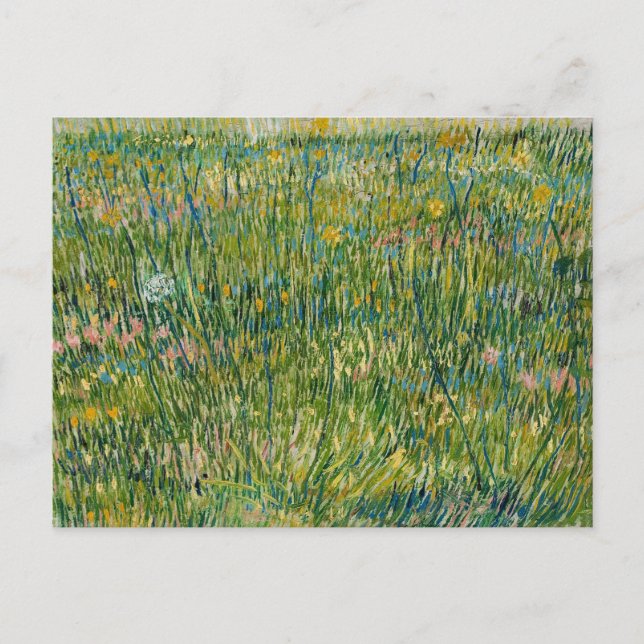 Patch of Grass | Vincent van Gogh Postcard (Front)