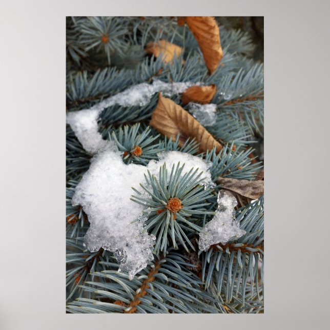 patch of snow poster (Front)