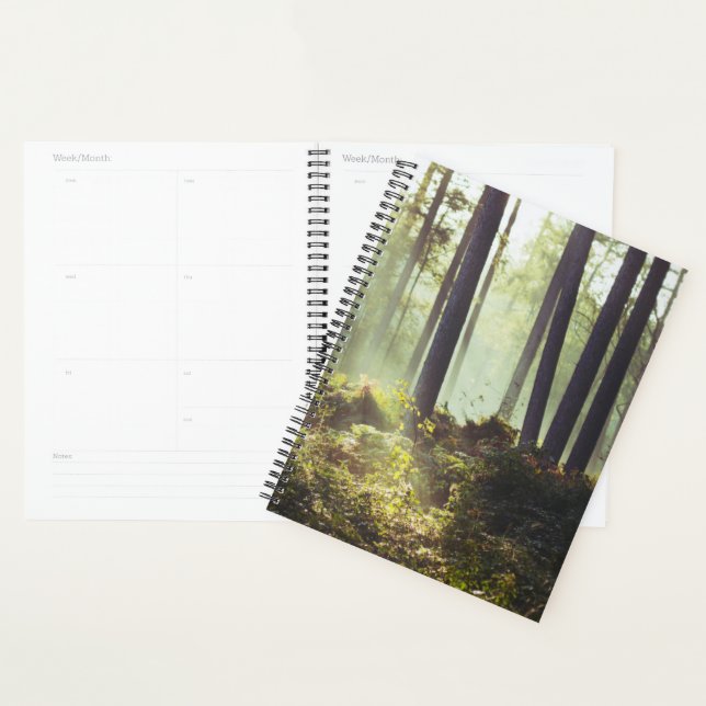 Patch of Underbrush in the Forest Planner (Display)
