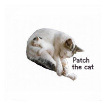 PATCH THE CAT AND HER KITTEN 