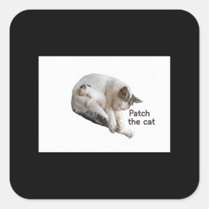 PATCH THE CAT AND HER KITTEN SQUARE STICKER