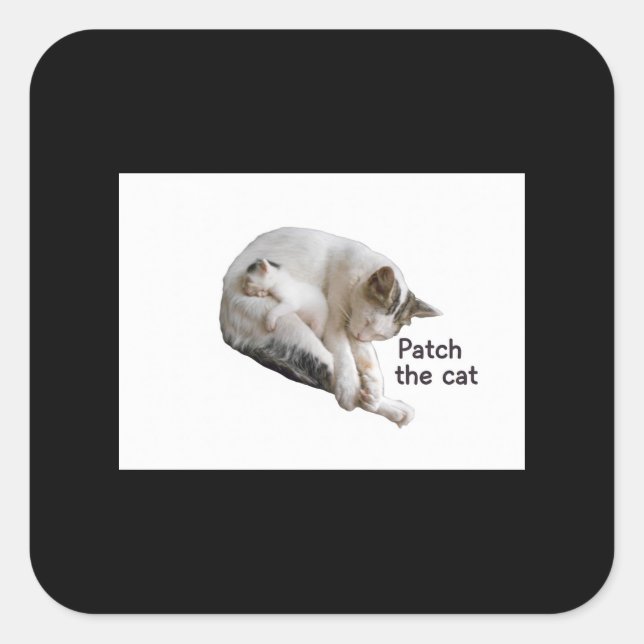PATCH THE CAT AND HER KITTEN  SQUARE STICKER (Front)