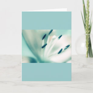 Patchouli Lily, flower, template greeting cards