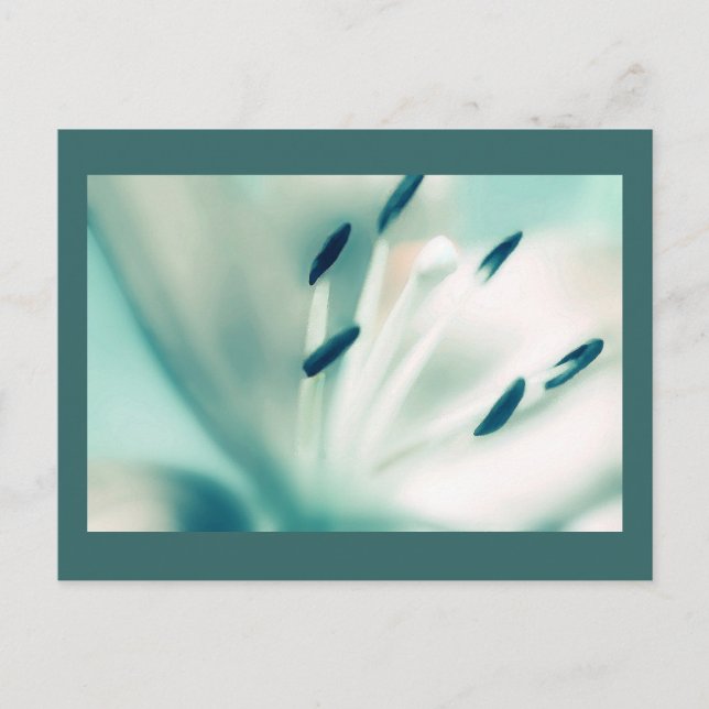 Patchouli Lily, flower, template Postcards Invites (Front)