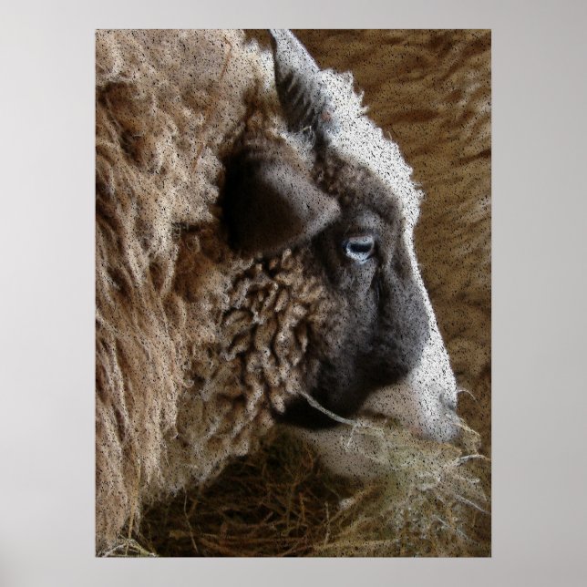 Patchwork Amy Poster (Front)