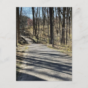 Path and Walking Bridge Postcard