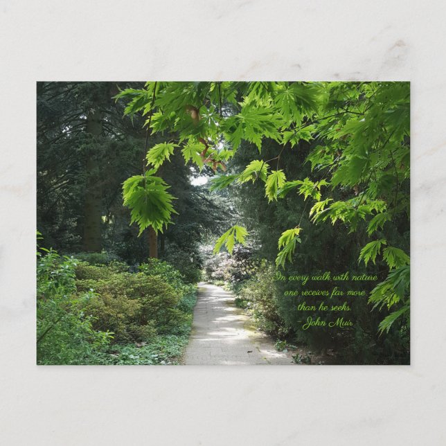 Path in Nature Green Trees Quote Photography Postcard (Front)