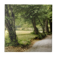 Path in the Country