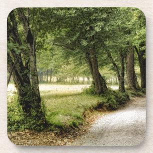 Path in the Country Coaster