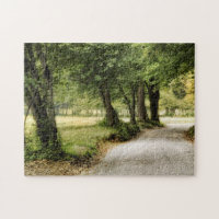 Path in the Country