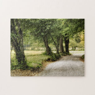 Path in the Country Jigsaw Puzzle