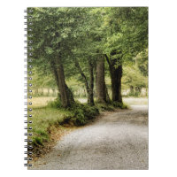 Path in the Country
