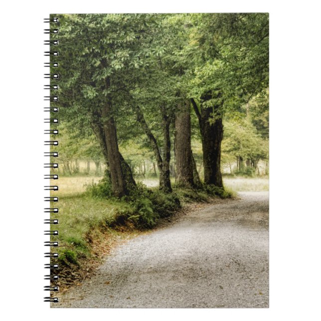 Path in the Country Notebook (Front)