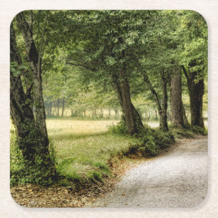 Path in the Country Square Paper Coaster