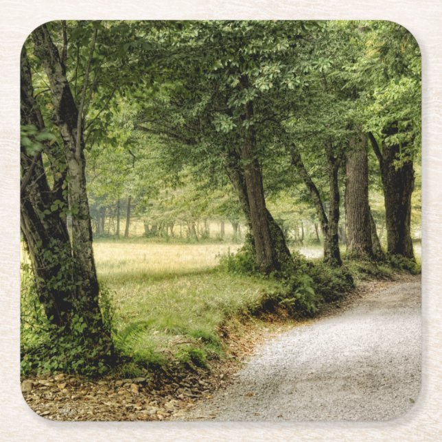 Path in the Country Square Paper Coaster (Front)