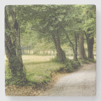 Path in the Country
