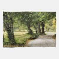 Path in the Country