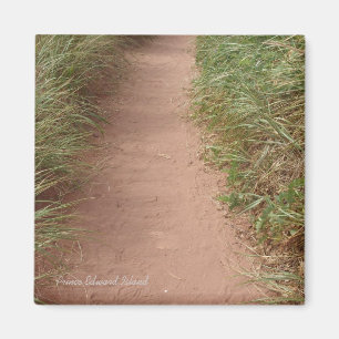 Path in the dunes magnet