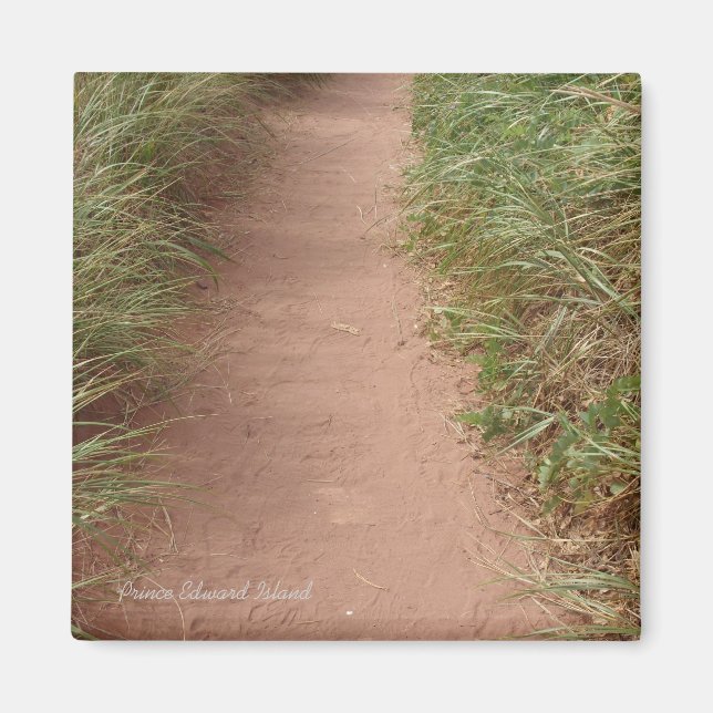 Path in the dunes magnet (Front)