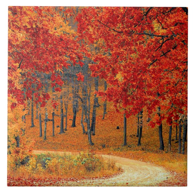 Path in the Forest, Autumn Ceramic Tile (Front)