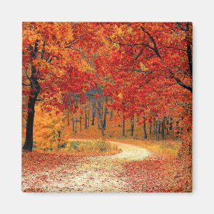 Path in the Forest, Autumn Magnet