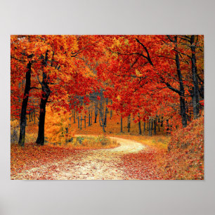 Path in the Forest, Autumn Poster