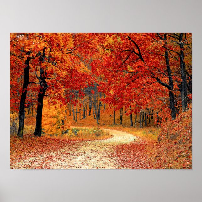 Path in the Forest, Autumn Poster (Front)