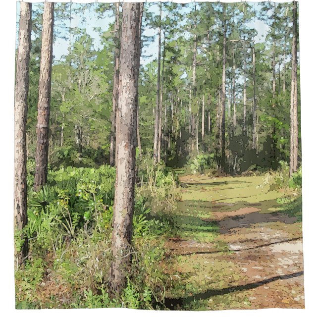 Path In The Woods 2656 Shower Curtain (Front)