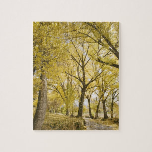 Path in woods, Sugarhouse Park, Salt Lake City Jigsaw Puzzle
