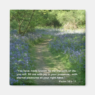 Path of Life - Bluebells Magnet