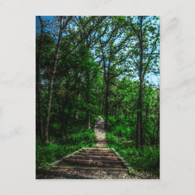 Path Of Life Postcard (Front)