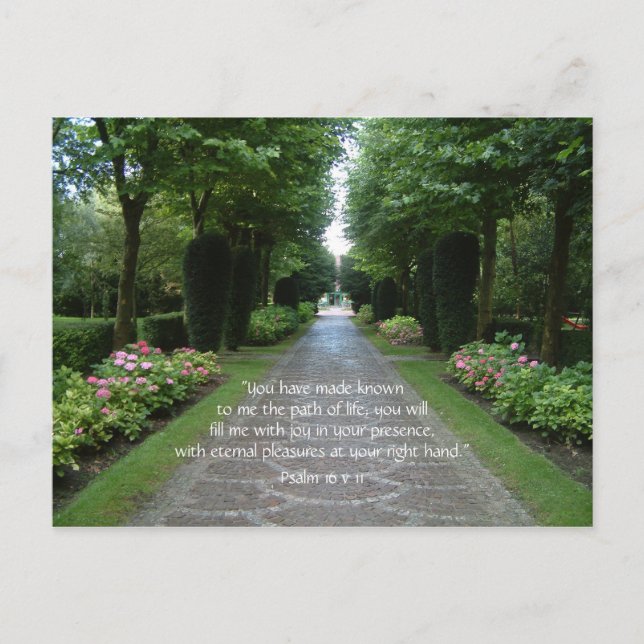 Path of Life | Postcard (Front)