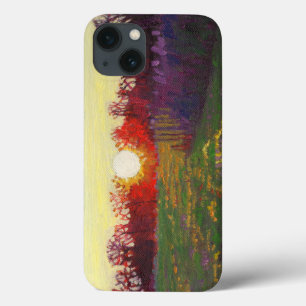 Path of light 2013 iPhone 13 case