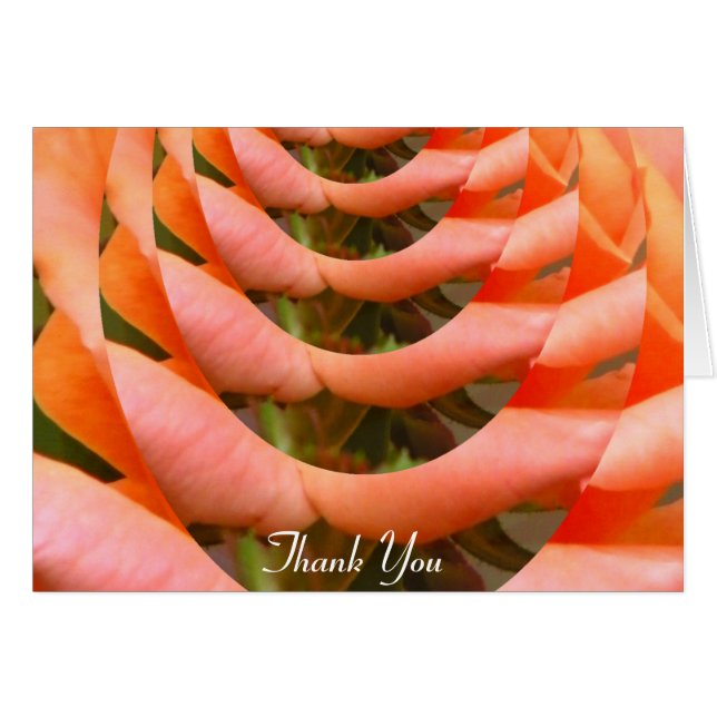 Path of Love_ (Front Horizontal)