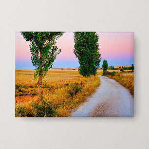 Path of the French Way