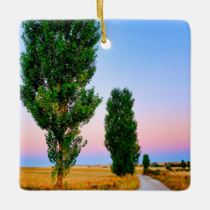 Path of the French Way Ceramic Ornament