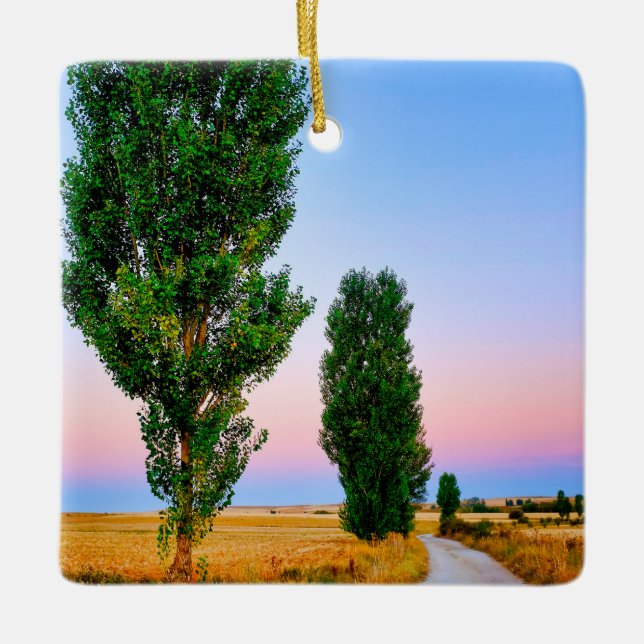 Path of the French Way Ceramic Ornament (Front)