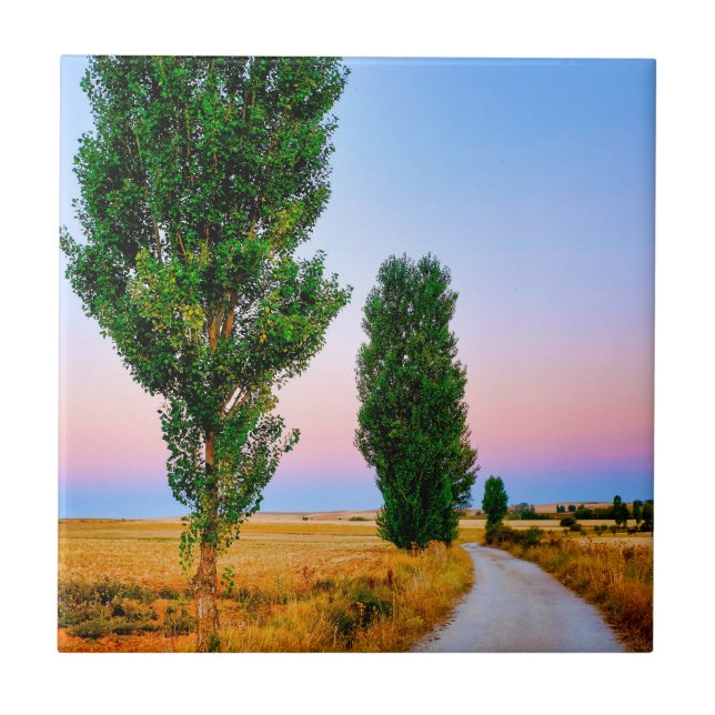 Path of the French Way Ceramic Tile (Front)