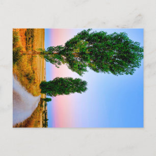 Path of the French Way Holiday Postcard