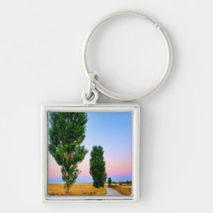 Path of the French Way Key Ring
