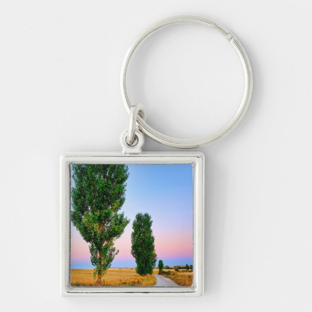 Path of the French Way  Key Ring (Front)